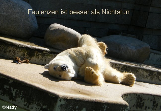 08 - Er fuehlt sich wieder wohl .....jpg